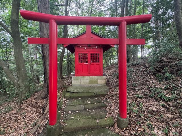 権現山稲荷神社(狭山神社境内社)の参拝記録2