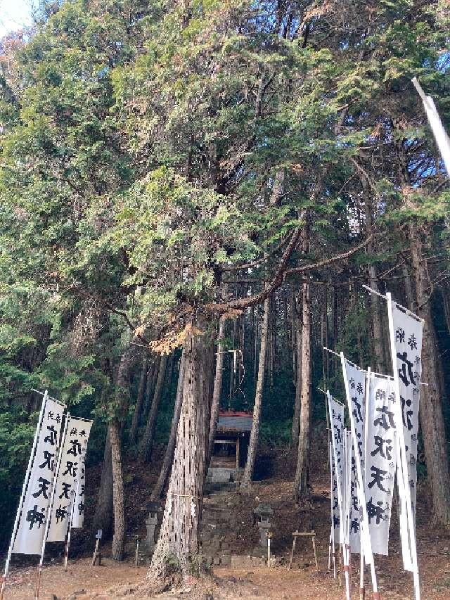 愛知県豊田市猿投町 広澤神社の写真1
