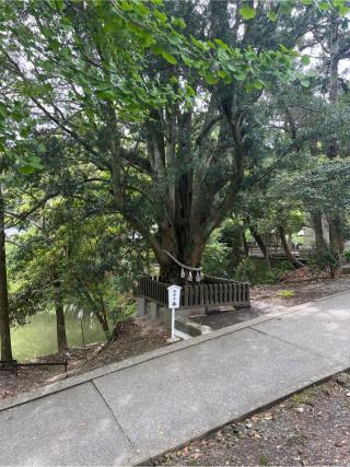 安房神社 下之宮の参拝記録(⛩️🐍🐢まめ🐢🐍⛩️さん)