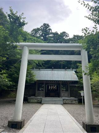 安房神社 下之宮の参拝記録(⛩️🐍🐢まめ🐢🐍⛩️さん)