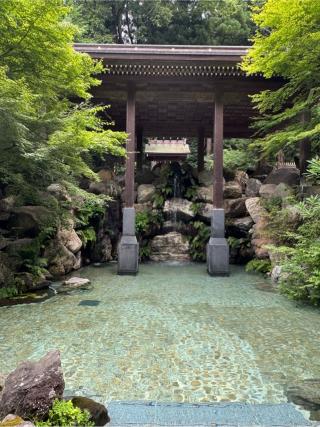 禊社(白山比咩神社)の参拝記録(こーちんさん)