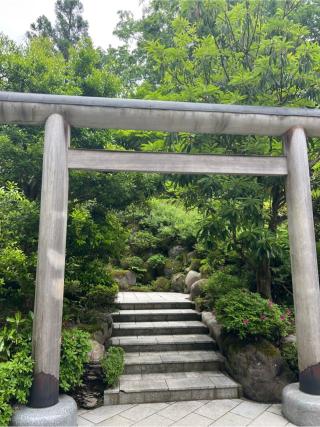 禊社(白山比咩神社)の参拝記録(⛩️🐍🐢まめ🐢🐍⛩️さん)