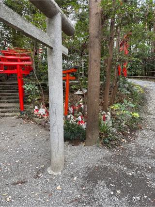 狐塚(白笹稲荷神社)の参拝記録(⛩️🐍🐢まめ🐢🐍⛩️さん)