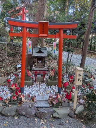 狐塚(白笹稲荷神社)の参拝記録(はくすみさん)