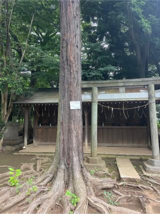 城山熊野神社末社の参拝記録(⛩️🐍🐢まめ🐢🐍⛩️さん)