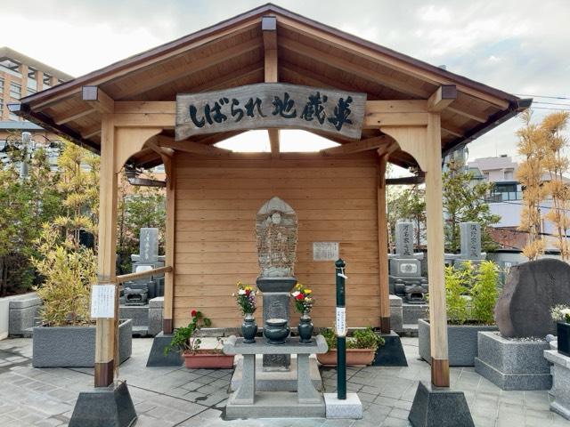 東京都文京区小日向4-7-2 林泉寺の写真1