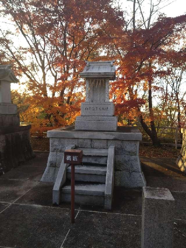 白天龍王（一畑山薬師寺岡崎本堂境内社）の参拝記録2