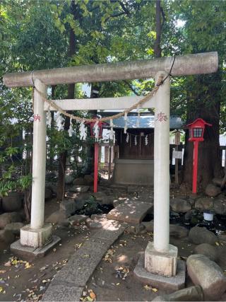 大國魂神社・宗像神社（神明氷川神社境内）の参拝記録(⛩️🐍🐢まめ🐢🐍⛩️さん)