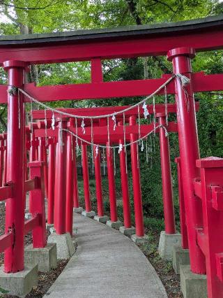 殺生石稲荷神社の参拝記録(はくすみさん)