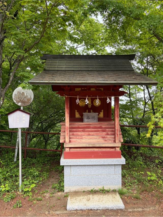 東照社(武蔵御嶽神社)の参拝記録1