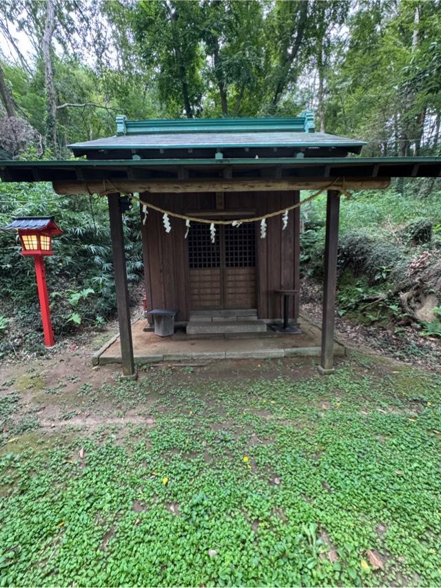 津島神社（大麻止乃豆乃天神社境内社）の参拝記録1