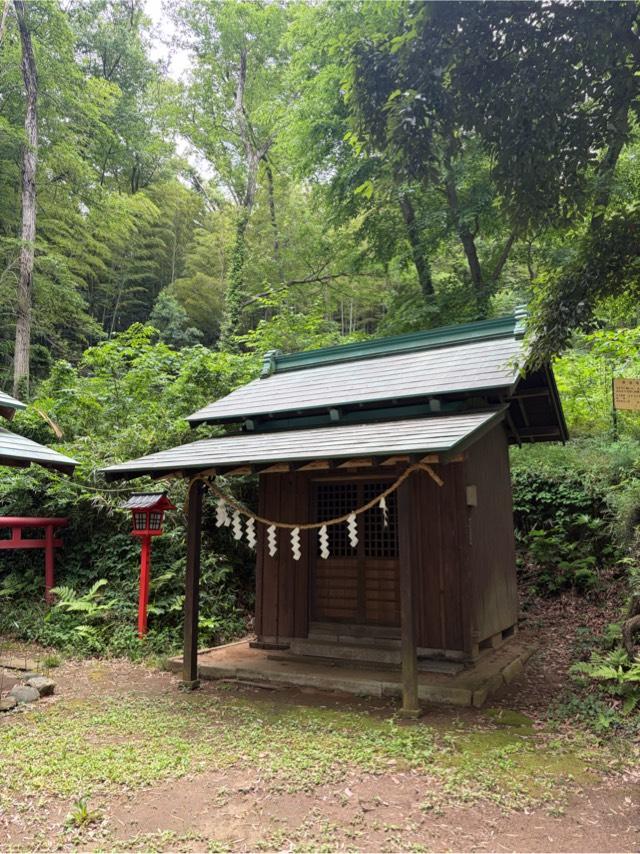 津島神社（大麻止乃豆乃天神社境内社）の参拝記録1