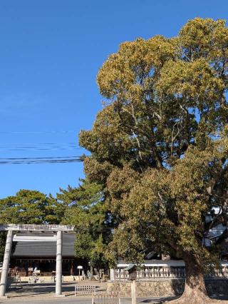 猿田彦社(安久美神戸神明社末社)の参拝記録(恭子さん)