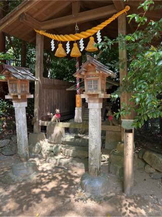 白髭神社(飛鳥坐神社)の参拝記録(⛩️🐍🐢まめ🐢🐍⛩️さん)