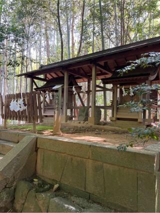 中の社 八阪神社 金比羅神社(飛鳥坐神社)の参拝記録(⛩️🐍🐢まめ🐢🐍⛩️さん)