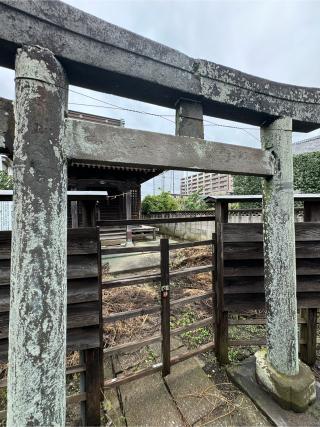 井田三舞稲荷神社の参拝記録(こーちんさん)