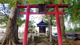 常盤稲荷神社の参拝記録(miyumikoさん)