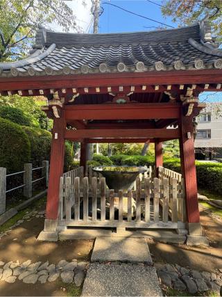 神齡山 悉地院 護國寺の参拝記録(コバルトブルーさん)