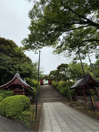神齡山 悉地院 護國寺の参拝記録(32hiroさん)