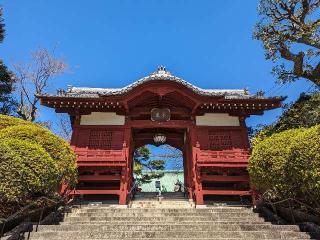 神齡山 悉地院 護國寺の参拝記録(ななめコロッケさん)