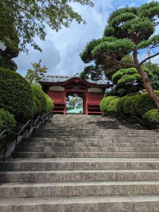 神齡山 悉地院 護國寺の参拝記録(はくすみさん)