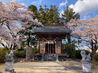 八幡宮の参拝記録(MA-323さん)