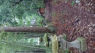 北野神社(八槻都々古別神社境内社)の参拝記録(SFUKUさん)