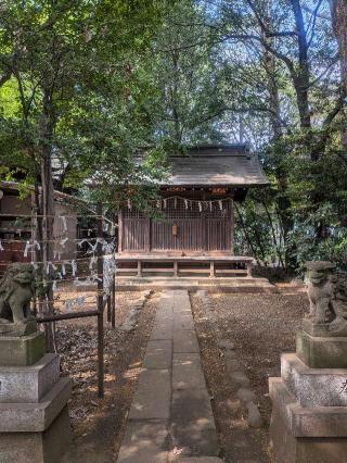八雲神社(小平神明宮東殿三社内)の参拝記録(はくすみさん)