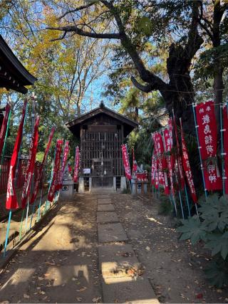 敷島稲荷神社（敷島神社境内社）の参拝記録(⛩️🎠🐢まめ🐢🎠⛩️さん)