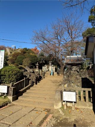琴平神社（敷島神社境内社）の参拝記録(⛩️🎠🐢まめ🐢🎠⛩️さん)