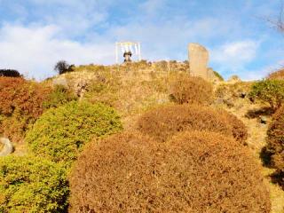 田子山富士（敷島神社境内社）の参拝記録(miyumikoさん)