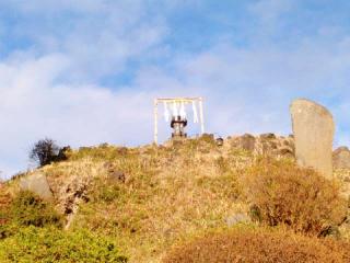 田子山富士（敷島神社境内社）の参拝記録(miyumikoさん)