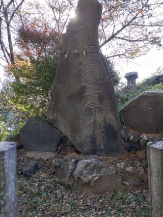 田子山富士（敷島神社境内社）の参拝記録(りゅうじさん)