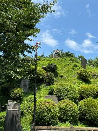 田子山富士（敷島神社境内社）の参拝記録(こーちんさん)