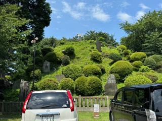 田子山富士（敷島神社境内社）の参拝記録(こーちんさん)