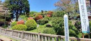 田子山富士（敷島神社境内社）の参拝記録(まーぼーさん)