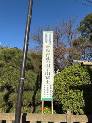 田子山富士（敷島神社境内社）の参拝記録(⛩️🐍🐢まめ🐢🐍⛩️さん)