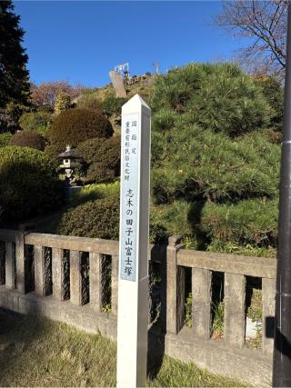 田子山富士（敷島神社境内社）の参拝記録(⛩️🐍🐢まめ🐢🐍⛩️さん)