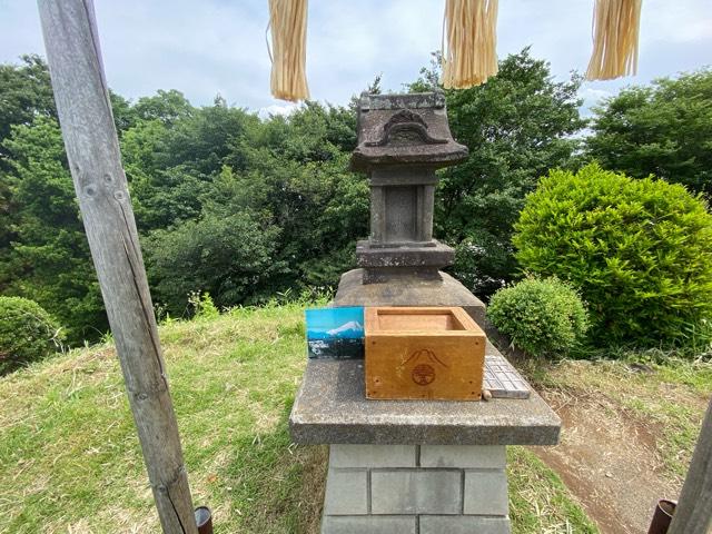 田子山富士（敷島神社境内社）の参拝記録(スエさん)