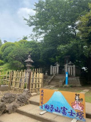 田子山富士（敷島神社境内社）の参拝記録(スエさん)