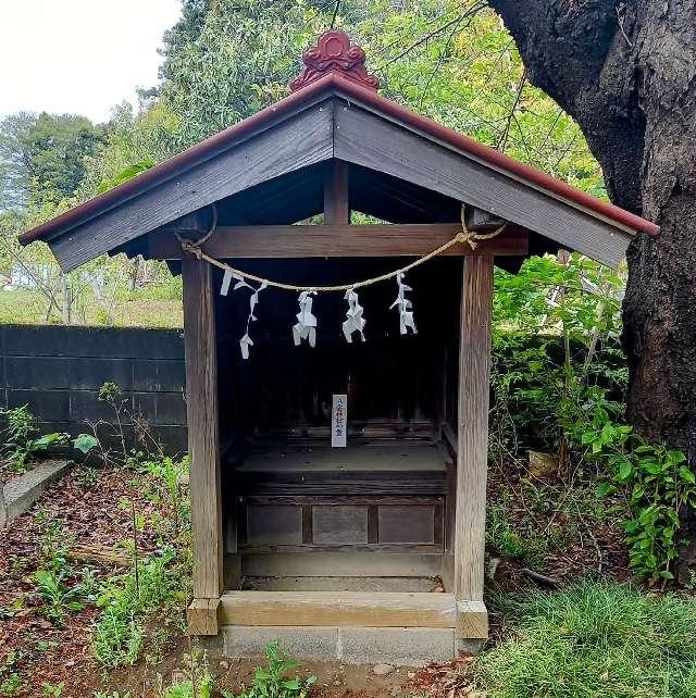 神奈川県大和市深見４８１ 八雲神社(牛頭天王)の写真6