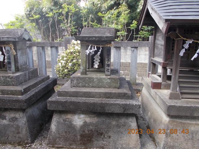 埼玉県朝霞市宮戸4-3-1 日王子神社（宮戸神社境内社）の写真1