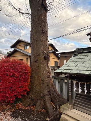久保田組稲荷神社（宮戸神社境内社）の参拝記録(⛩️🐍🐢まめ🐢🐍⛩️さん)