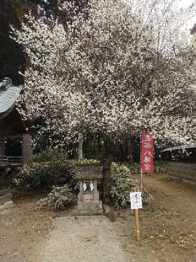 琴平神社(長沼八幡宮)の参拝記録1