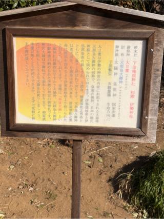 下田権現社(境香取神社境内社)の参拝記録(こーちんさん)