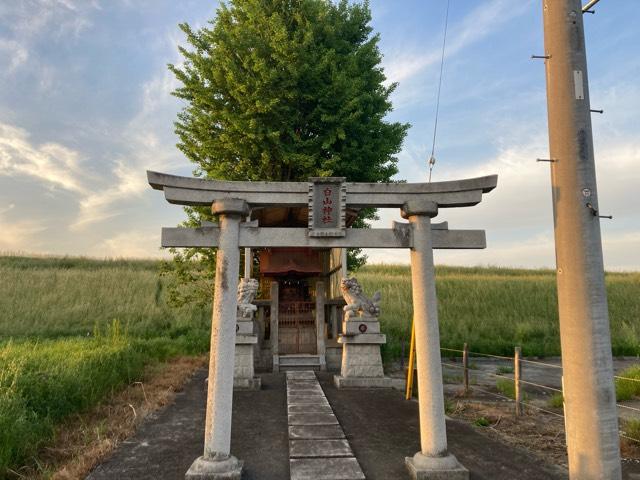 白山神社の写真1