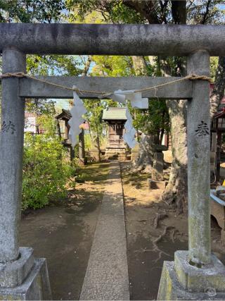 三峯神社の参拝記録(⛩️🐍🐢まめ🐢🐍⛩️さん)
