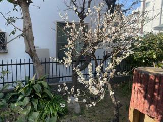 矢の川辨財天の参拝記録(ハコさん)