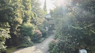 東光山 見性院 定泉寺の参拝記録(thonglor17さん)