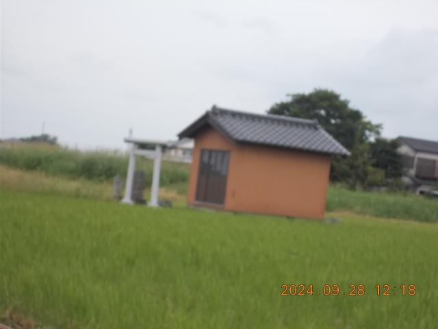 埼玉県加須市琴寄２３０７ 八幡神社(琴寄)の写真2